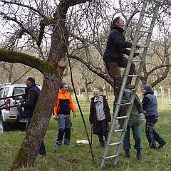 NABU-Aktive beim Obstbaumschnitt – Foto: Gertrud Walenda