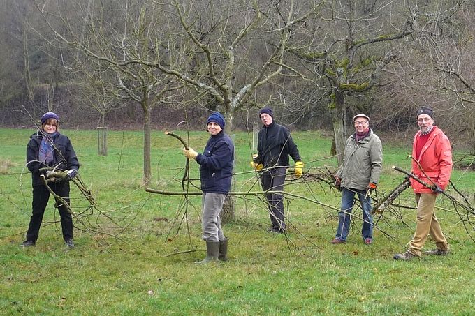 NABU-Aktive beim Wegräumen des Obstbaum-Schnittguts – Foto: Mirko Franz