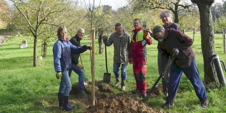 Obstbaum-Pflanzaktion: NABU-Aktive pflanzen einen hochstämmigen Apfelbaum der Hessischen Lokalsorte des Jahres 2022 'Friedberger Bohnapfel' – Foto: NABU Bad Nauheim