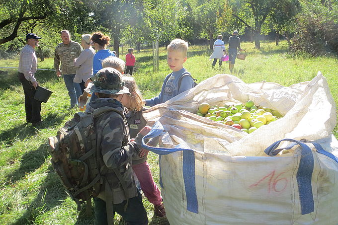 Jung und Alt bei der Apfelernte auf der NABU-Streuobstwiese – Foto: Mirko Franz